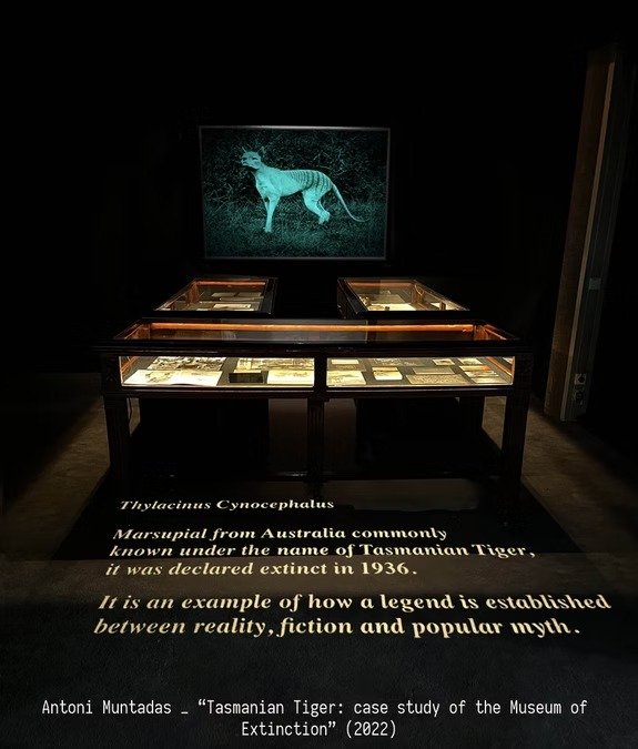 5d6514_0f3ab89e491242c1a5fe3a919be06018~mv2