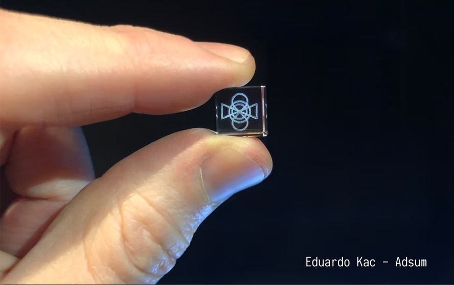 5d6514_ad64c52300a04b42a6321d9b38763d98~mv2