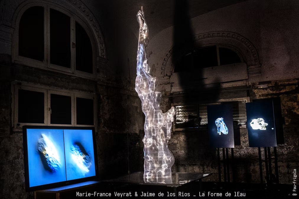 5d6514_b48663a5d6c74416b8fa3dc79e81a3b4~mv2