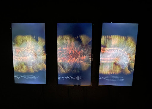 Photo from customer review