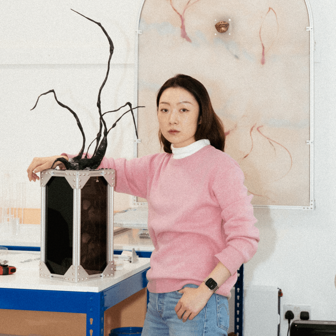 Xin Liu