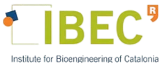 IBEC