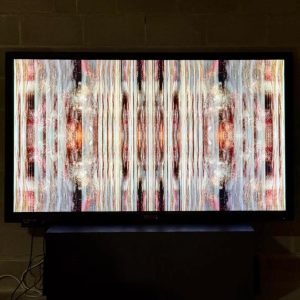 newartcentremuseoart1