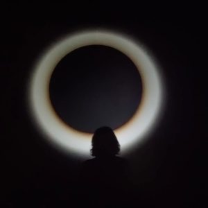 newartcentremuseoarteytecnologia